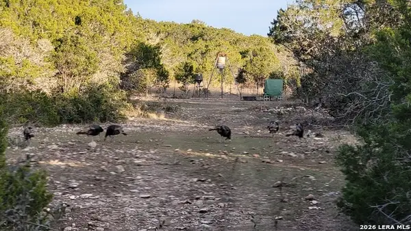 TBD Mutt Rd, Brackettville, TX 78832