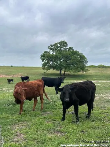 TBD (TR 4) W Gates Valley Rd, Poteet, TX 78065 - #2