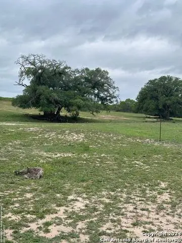TBD (TR 4) W Gates Valley Rd, Poteet, TX 78065 - #3
