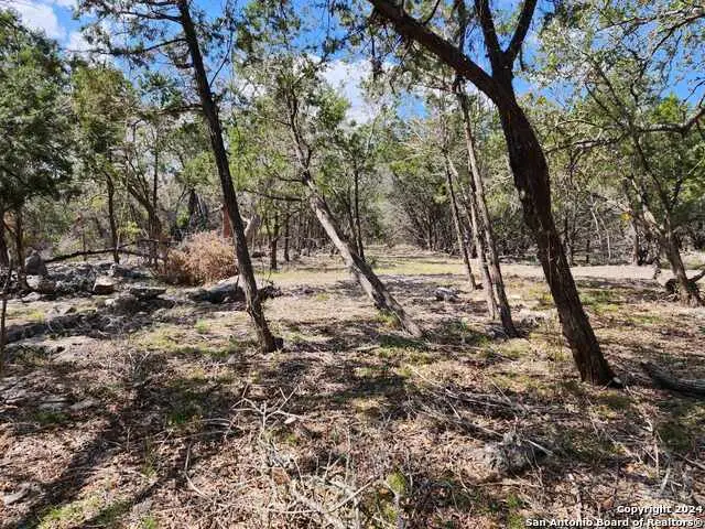 LOT 18 Forest Lake Dr, Spring Branch, TX 78070 - #2