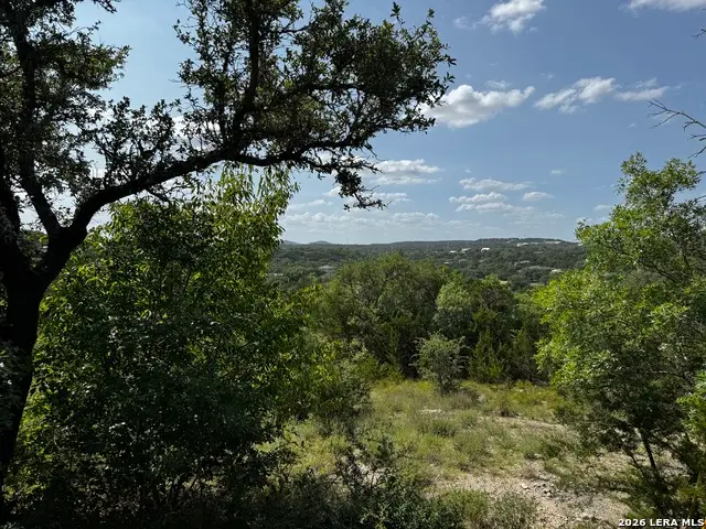 LOT 1 Hillside Drive, Spring Branch, TX 78070 - #3