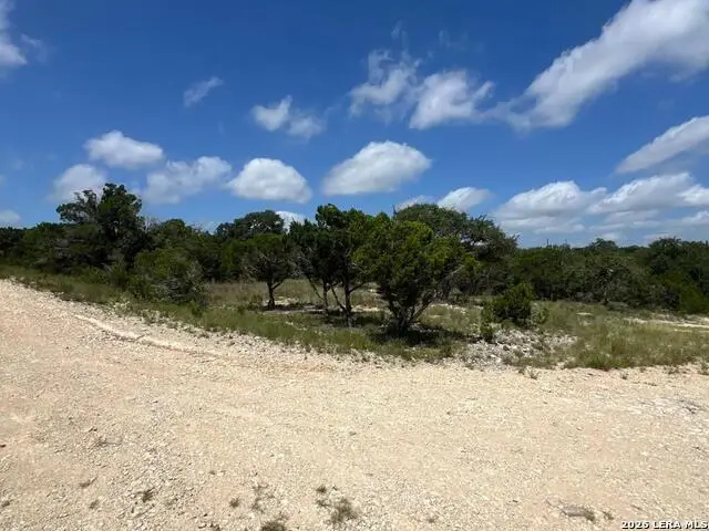 1188 Cliff Dr, Spring Branch, TX 78070 - #1