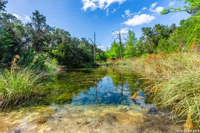 650 Evans Creek Road, Vanderpool, TX 78885 - #3