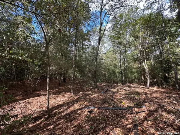 467 Jape Massingill Ln, Diboll, TX 75941