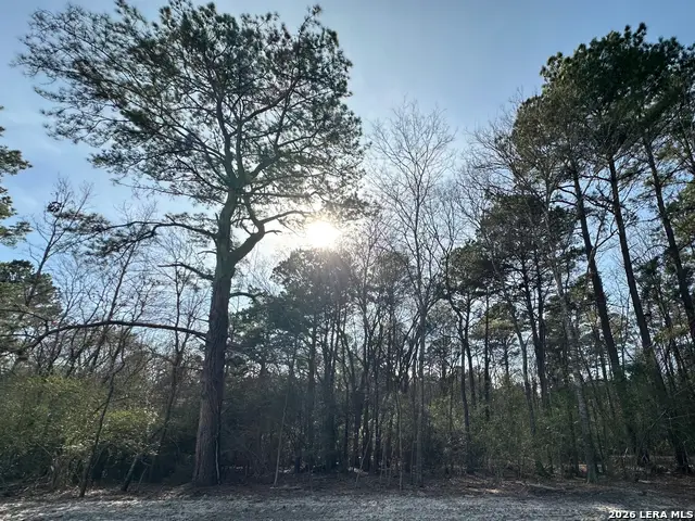 467 Jape Massingill Ln, Diboll, TX 75941 - #3