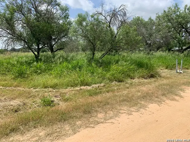 319 Karen Kourt, Devine, TX 78016 - #1