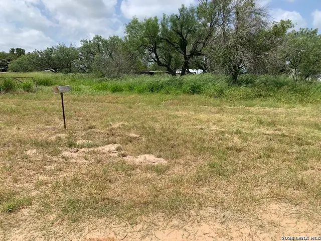 319 Karen Kourt, Devine, TX 78016 - #3