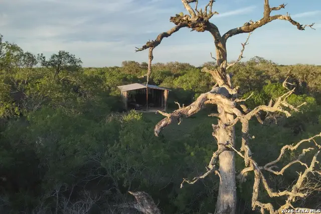 1305 Fm 799, George West, TX 78022 - #1