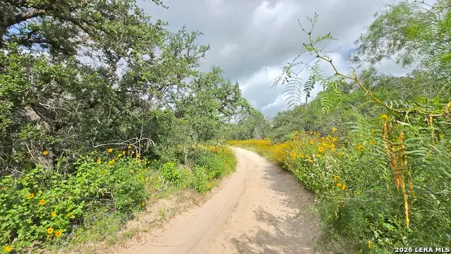 289 Zigmond Rd, Poteet, TX 78065 - #3