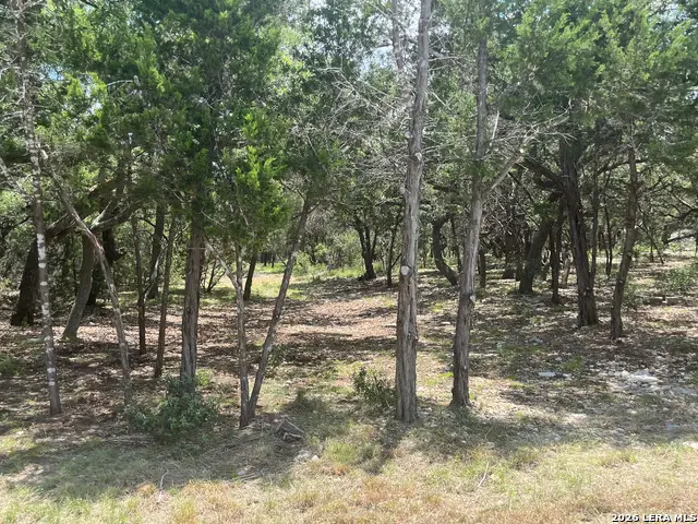254 Flanders, Fischer, TX 78623 - #2