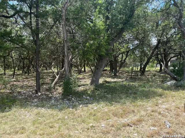 254 Flanders, Fischer, TX 78623 - #3