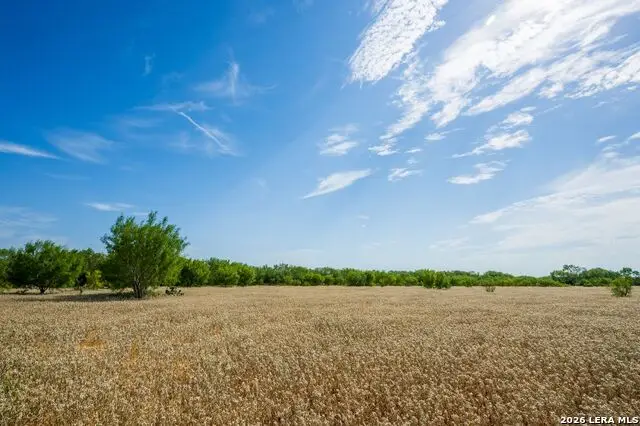 FM2200 2200, Yancey, TX 78886 - #1