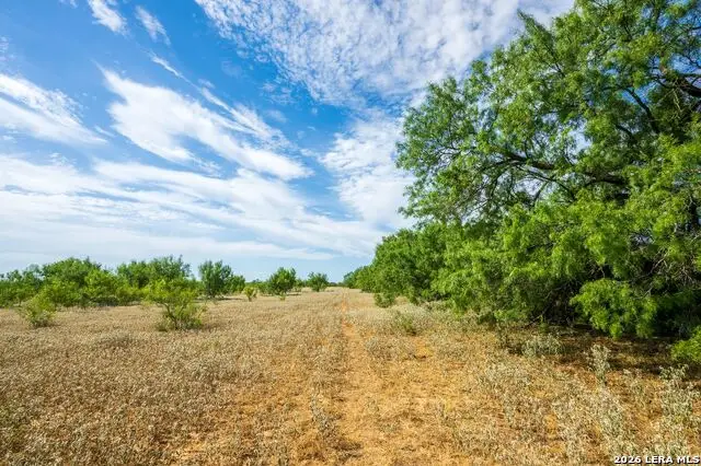 FM2200 2200, Yancey, TX 78886 - #2