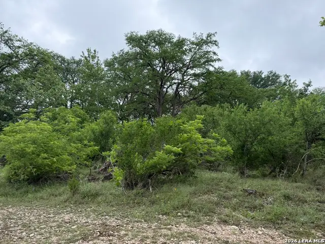 261 River Dr, Rio Frio, TX 78879 - #1