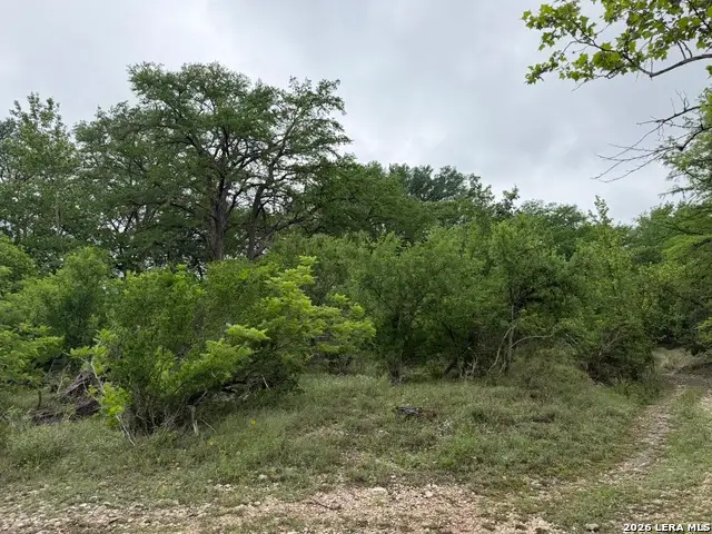 261 River Dr, Rio Frio, TX 78879 - #2