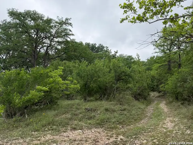 261 River Dr, Rio Frio, TX 78879 - #3