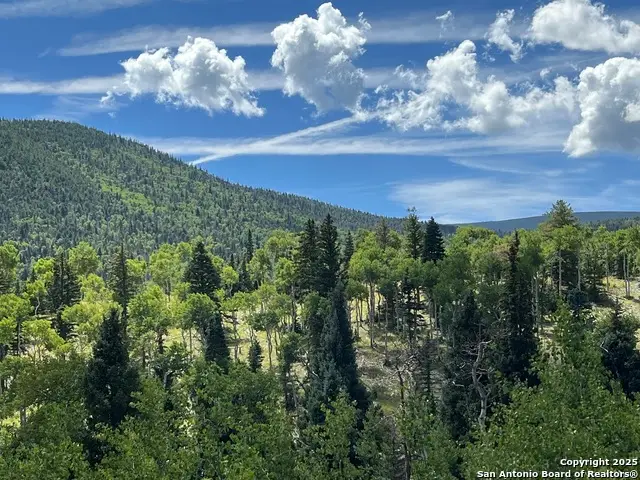 LOT 1A Panadero Ave, Lake George, CO 81055 - #3