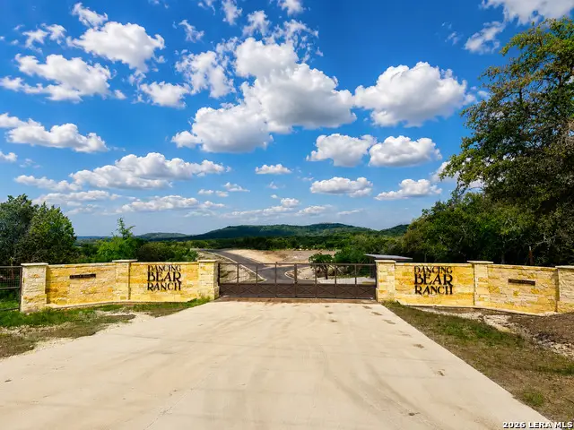 LOT 311,312,387 Pr 1745 Pr 1742, Mico, TX 78056 - #3