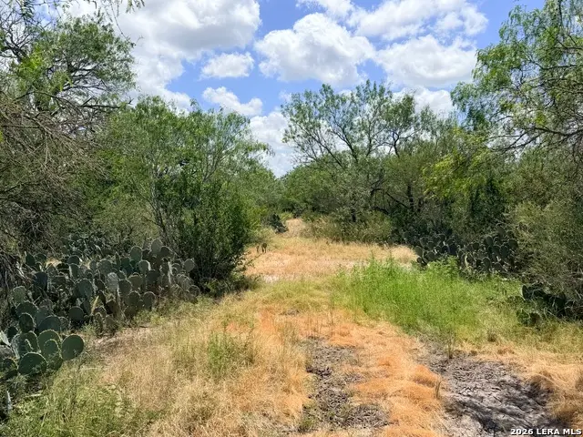 TBD Fm 791, Campbellton, TX 78008 - #2