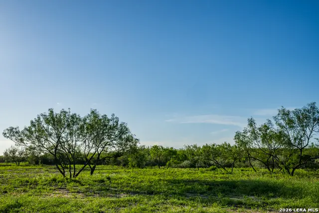 111 Los Lomas Ranch Road, Freer, TX 78357 - #2