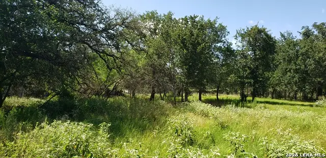 111 Flores Oaks Dr, Floresville, TX 78114 - #1