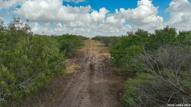 16.29+/- ACRES County Road 158, Kenedy, TX 78119 - #3