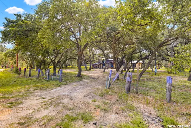339 Shady Oaks Dr, Floresville, TX 78114 - #3