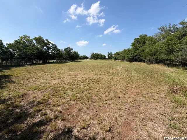 902 Fulcher St, Blanco, TX 78606 - #3