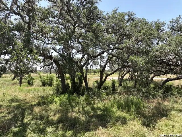 182 Grand Oaks, Hondo, TX 78861 - #3