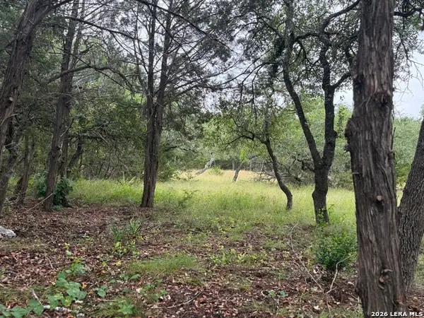 197 Rosenberry, Bulverde, TX 78163