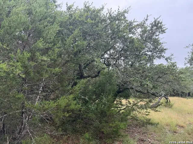 197 Rosenberry, Bulverde, TX 78163 - #2