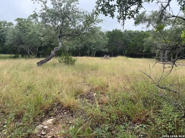 197 Rosenberry, Bulverde, TX 78163 - #3