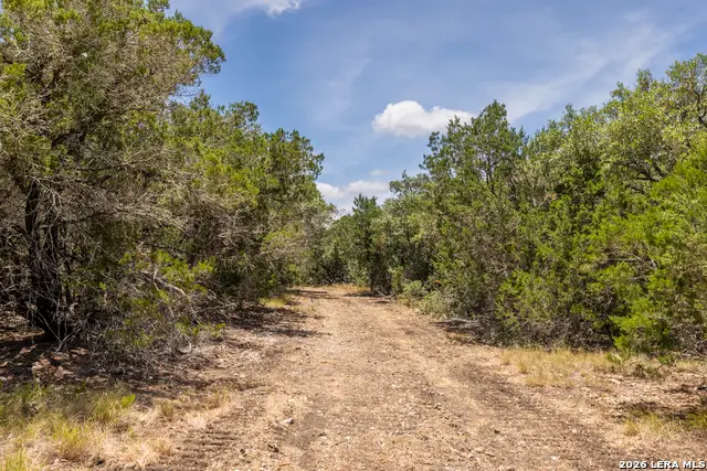 0 Cherry Creek Road, Hunt, TX 78024 - #3