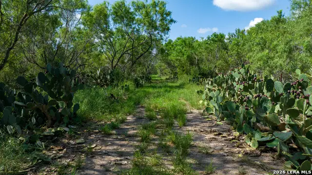 000 Cr 241, Three Rivers, TX 78071 - #3