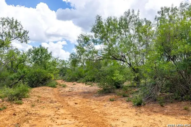 0 Fm 462, Hondo, TX 78861 - #3