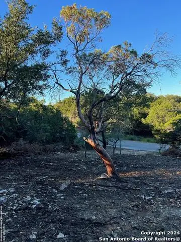 340 Ledgeview Dr, Canyon Lake, TX 78133 - #1