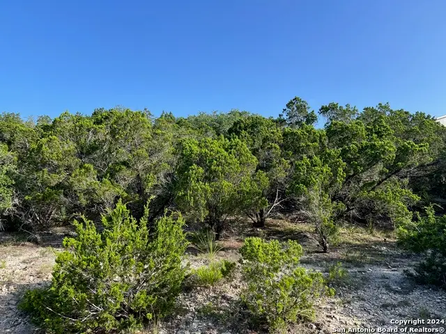 280 Scenic Hills Dr, Canyon Lake, TX 78133 - #1