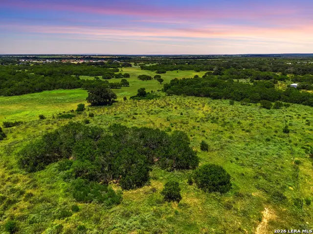802 Wolf, La Vernia, TX 78121 - #1