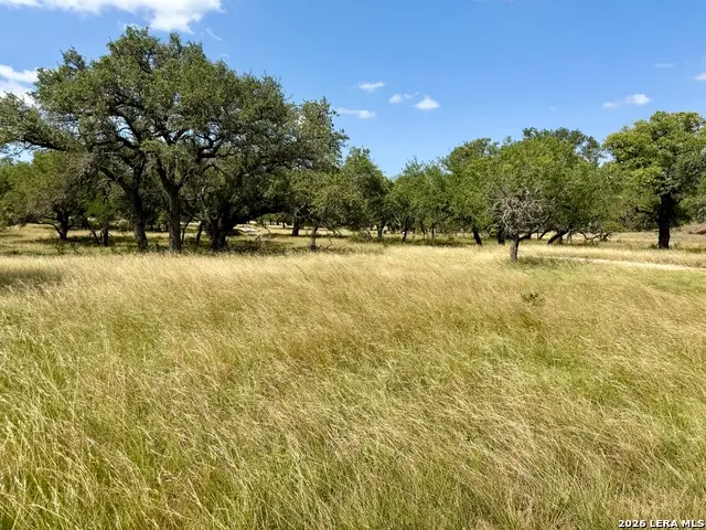 43 ACRES Sattler Rd., Spring Branch, TX 78070 - #1