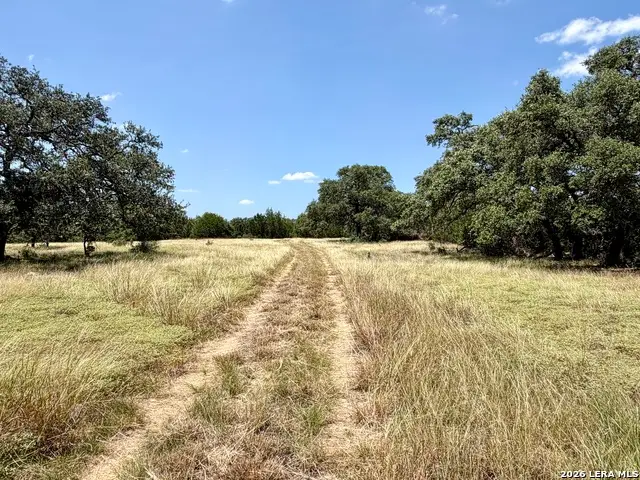 43 ACRES Sattler Rd., Spring Branch, TX 78070 - #2