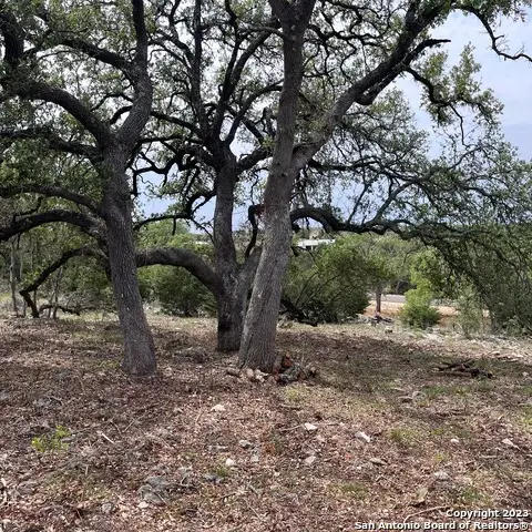 1430 Trailhead, New Braunfels, TX 78132 - #3