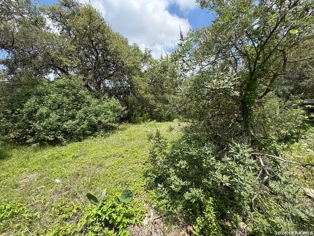 148 Legion Dr, Lakehills, TX 78063 - #1
