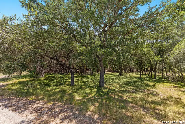 1187 Long Mdw, Spring Branch, TX 78070 - #2