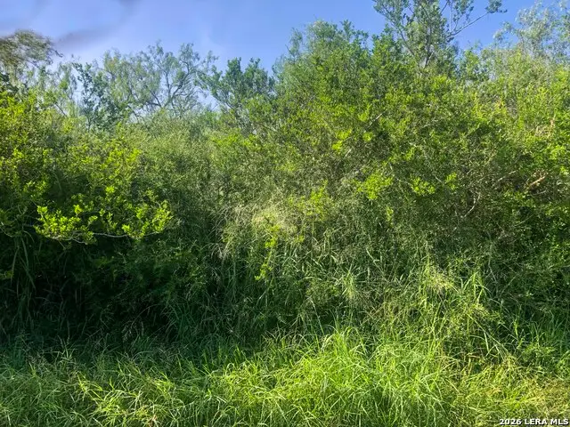 000 Cr 619, Skidmore, TX 78389 - #1