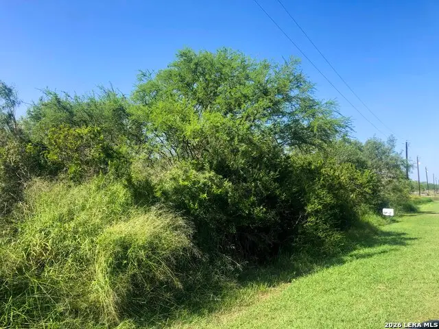 000 Cr 619, Skidmore, TX 78389 - #2