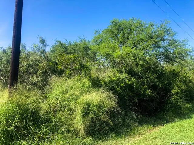 000 Cr 619, Skidmore, TX 78389 - #3