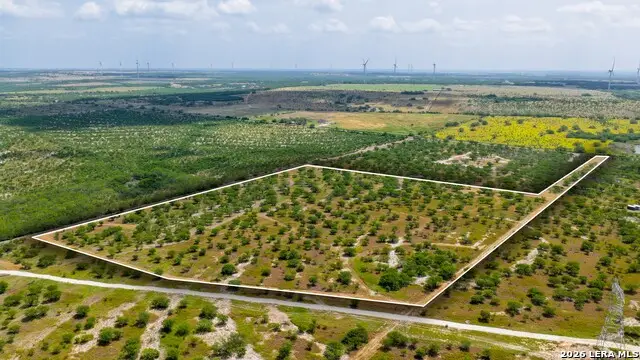 13538 Cr 133, Pawnee, TX 78145 - #2