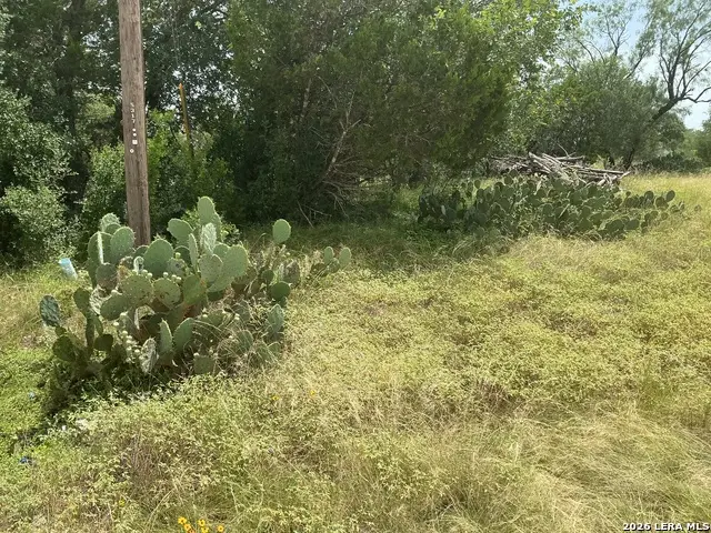 00 Medina, Bandera, TX 78003 - #2