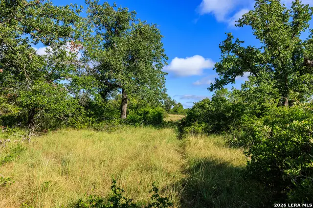 875 Gypsum Mine Road, Fredericksburg, TX 78624 - #3