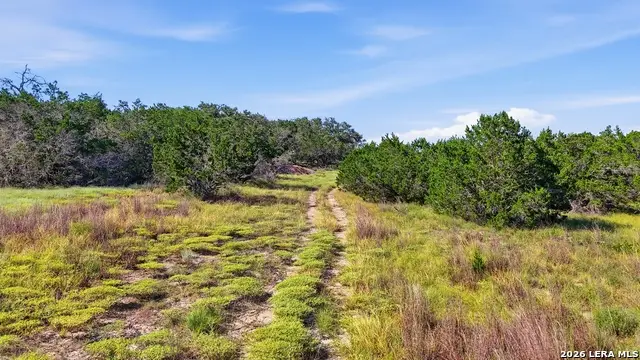 783 Tiswin Trl, Blanco, TX 78606 - #3